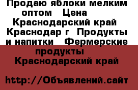 Продаю яблоки мелким оптом › Цена ­ 35 - Краснодарский край, Краснодар г. Продукты и напитки » Фермерские продукты   . Краснодарский край